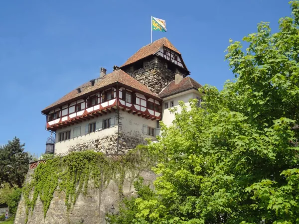 Castello di Frauenfeld