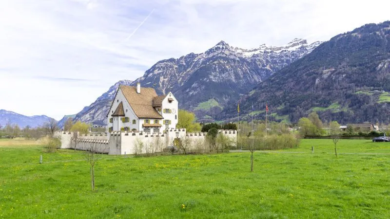 A Pro Castle