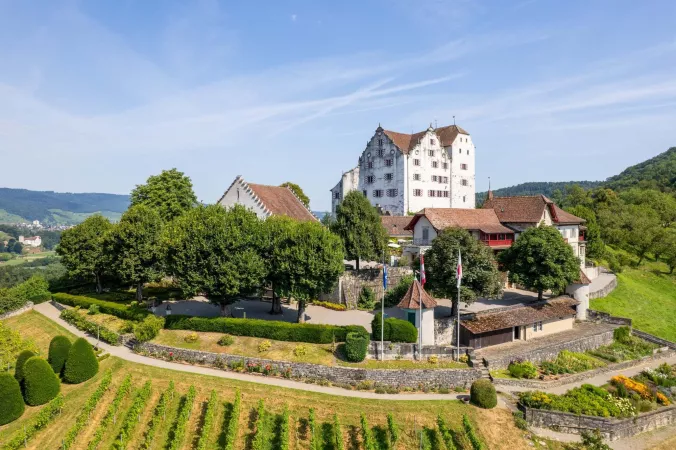 Castello di Wildegg