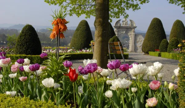 Schloss Wildegg Barockgarten_2.JPG