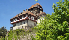 Château de Frauenfeld