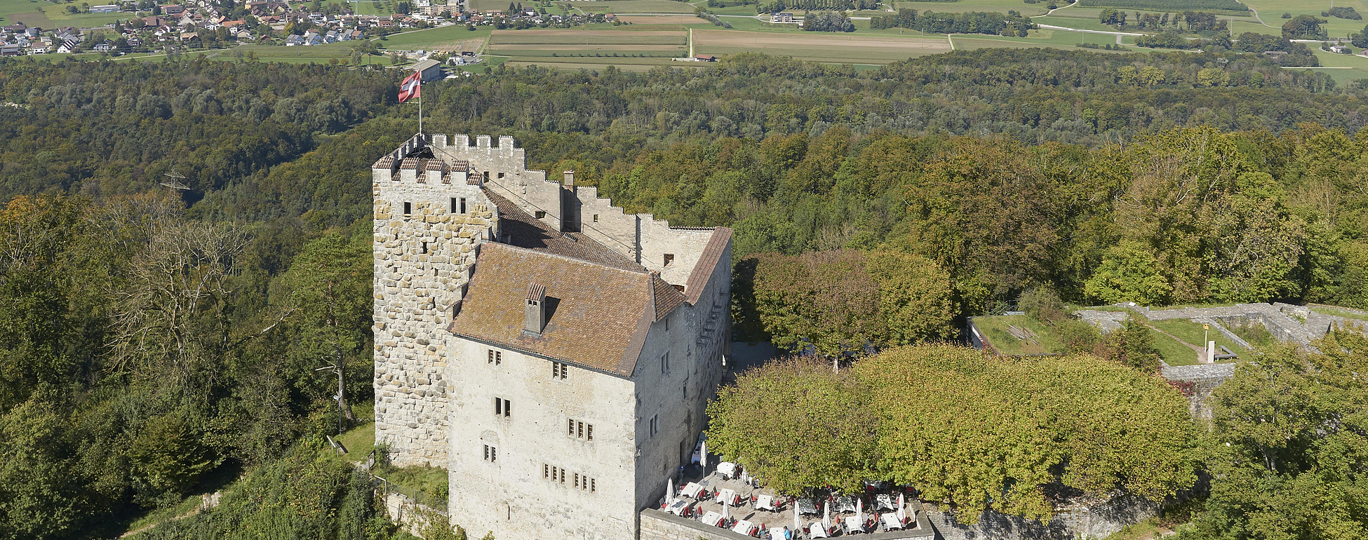 Habsburg Castle